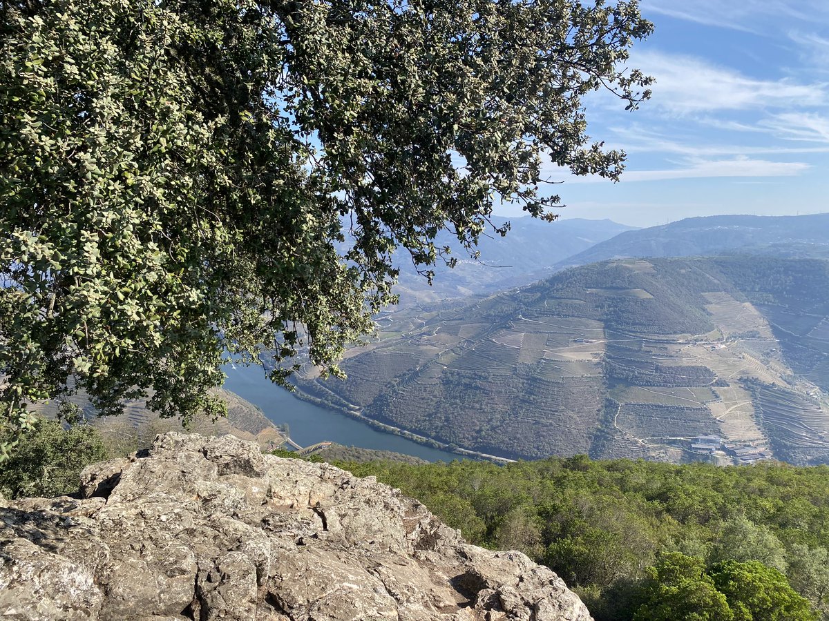 MapeTour's tweet photo. The best viewpoint of Douro Valley https://t.co/D9y9utlD0V