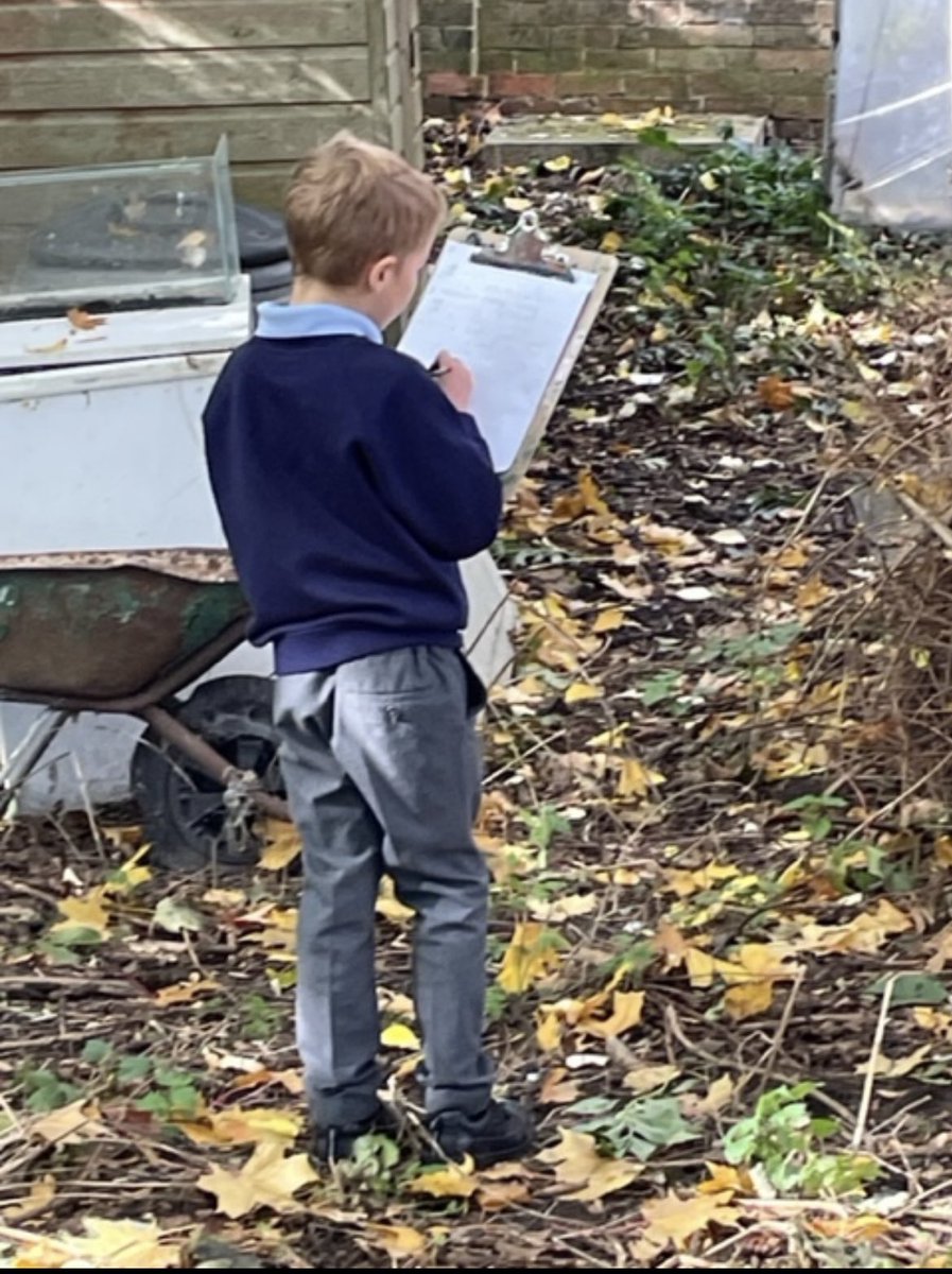 Our autumn inspired Special Writing! The children came up with some fantastic adjectives to describe the feeling of different leaves and trees 🍁 🌳 #sturtonrocks <a href="/MrsG_Gibson/">Mrs Gibson</a> <a href="/Sturtonhead/">Mark Elliott</a>