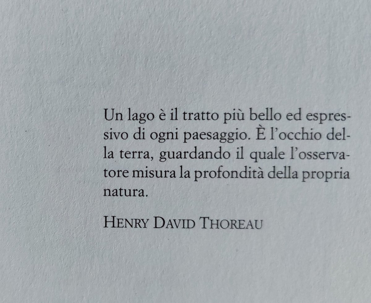 Appunti di carta tweet media