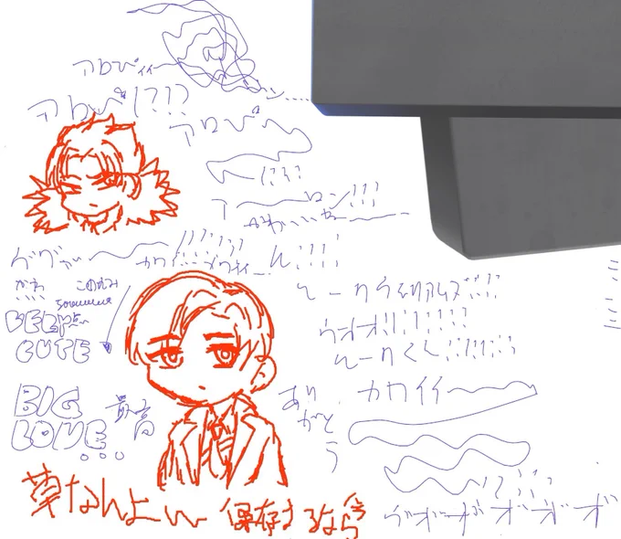 これは友達がルークくんとアロぴを描いてくれたやつ 