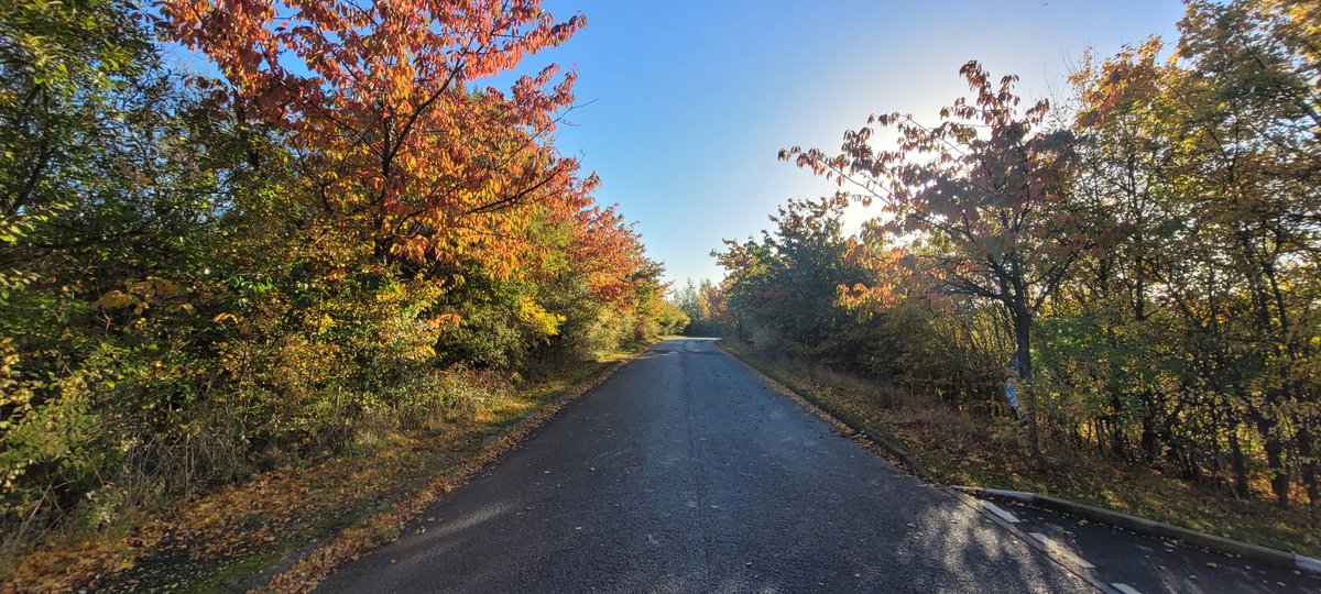 DjHiggi53's tweet photo. What a fantastic start to the day with a walk around @RSPB_OldMoor amidst these autumn colours and clear blue sky https://t.co/dGnT2z8XCD
