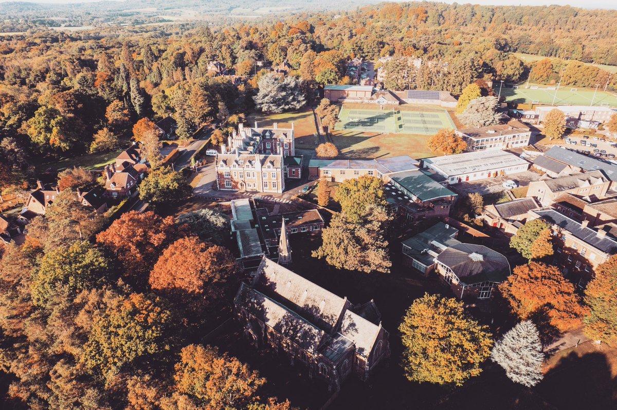 enrich_ed's tweet photo. @KESWitley Looking glorious in the autumn light 🍂 https://t.co/wKT12I1qc9