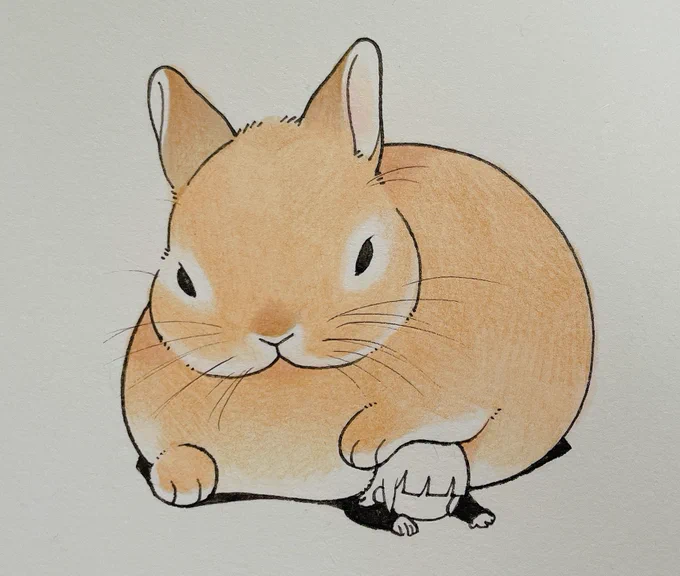 ずもっ 