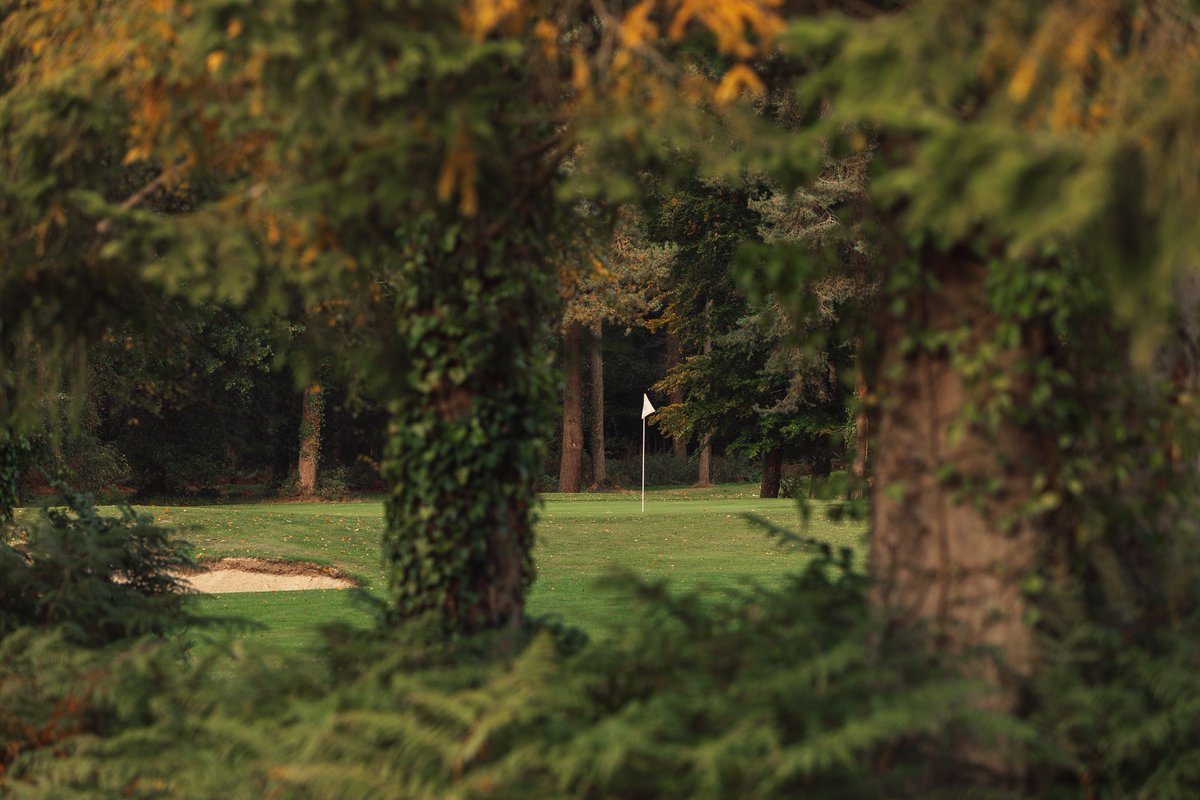 PaultonsGolf's tweet photo. A glimpse of glorious golf amidst the tree lined fairways of our Championship Course. π«π²β³οΈ
#beautifulgolfcourse #saturdaymorningvibes #romseylife #southamptonuk #golfcoursephotography #golfcourselife #golfingaround #hampshiregolf #paultons https://t.co/L0ACTfFzS2