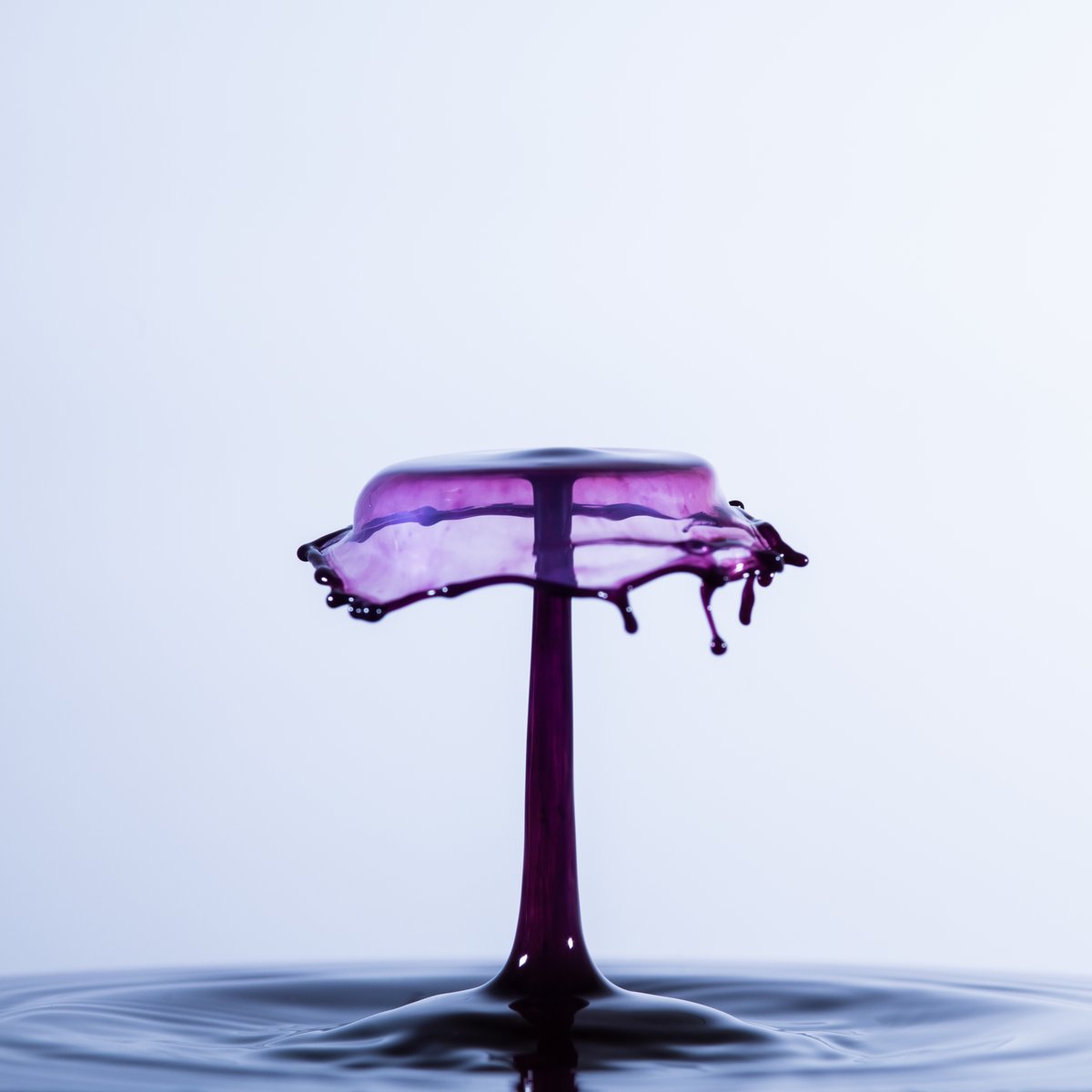 Great news!
<a href="/SublimesNFT/">SUBLIMES✨</a>
 has bought one of my latest pieces 
"Violet Delight"!

One lucky holder could own it by participating in the raffle below!

Good luck!  🍀👇

alphabot.app/sublime-artist…