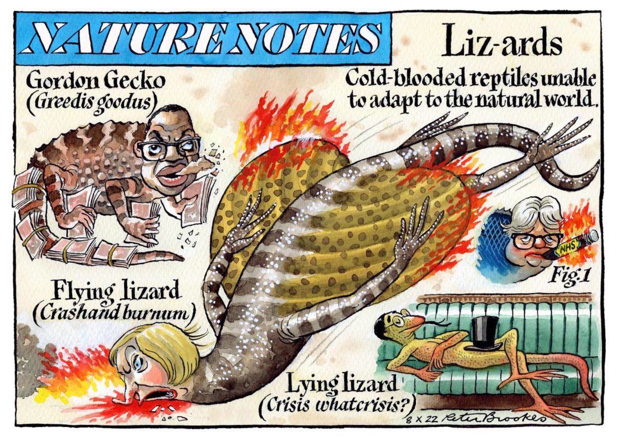 My cartoon Saturday @TheTimes on unnatural history. #LizTruss #KwasiKwarteng #torychaos