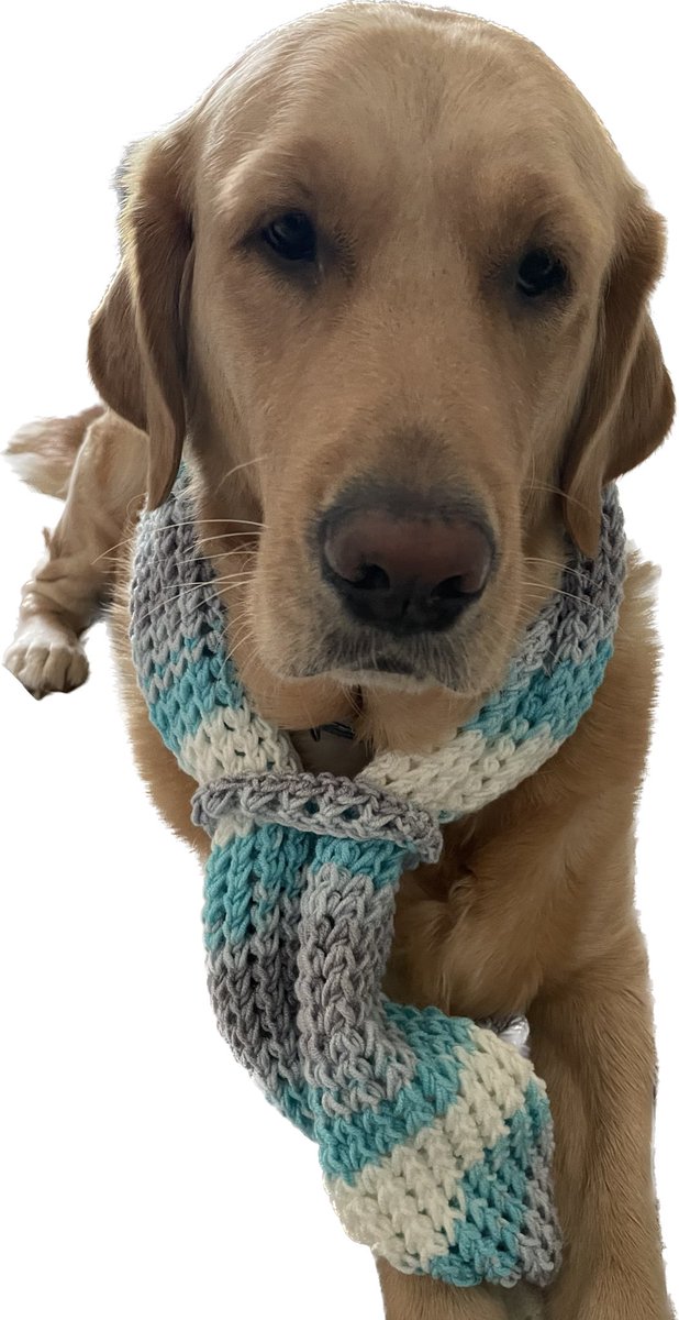 Mommy listed a new neck warmer - a bit big for me but apawrently perfect for Hoomans ❤️🧶 ravelry.com/patterns/libra…