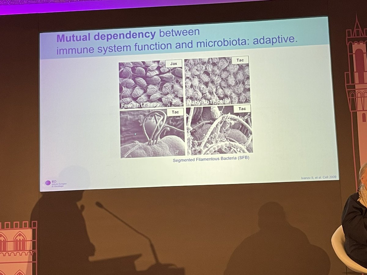 Dr. Luigi Nezi @ istituto europeo di oncologica in Milan / Whirlwind intro to #microbiota / Brilliant work! / <a href="/NIBITSIENA/">Fondazione NIBIT</a>  #ThinkTank - slides coming very fast #cancer #immunotherapy <a href="/JenWargoMD/">Jennifer Wargo MD</a> <a href="/carlobifulco/">carlobifulco</a> #finishcancer #microbiome