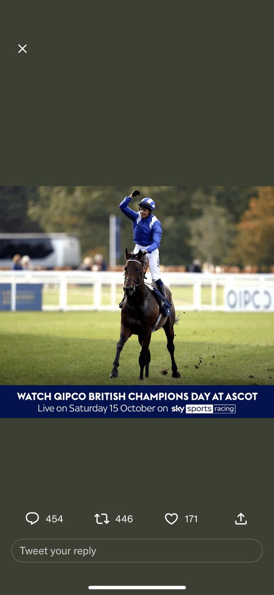 rayling17's tweet photo. @AtTheRaces @Ascot https://t.co/Hug9OjRhyp