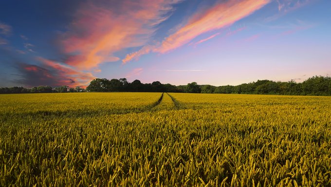 ruralcat's tweet photo. 💻 🎓 El curs online de Sensibilització mediambiental dóna els coneixements per tal d’orientar una explotació agropecuària en un entorn sostenible. #FAD2022

📅Dates: Del 25/10/22 a l'11/11/22
⌚Durada: 10h
📝Inscripcions fins el 12/10/22
ℹ https://t.co/J2MdnbQzQj https://t.co/do7M7zBmo7