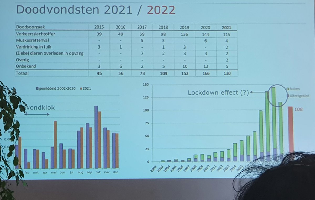 Cindy de Jonge-Stegink tweet media