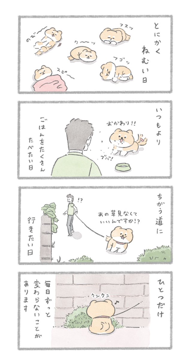 いろんな日
#こんにちはいぬです 