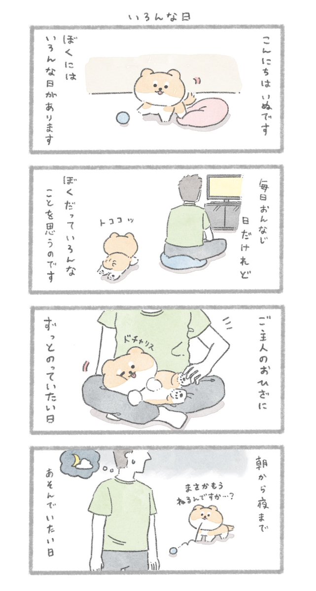 いろんな日
#こんにちはいぬです 