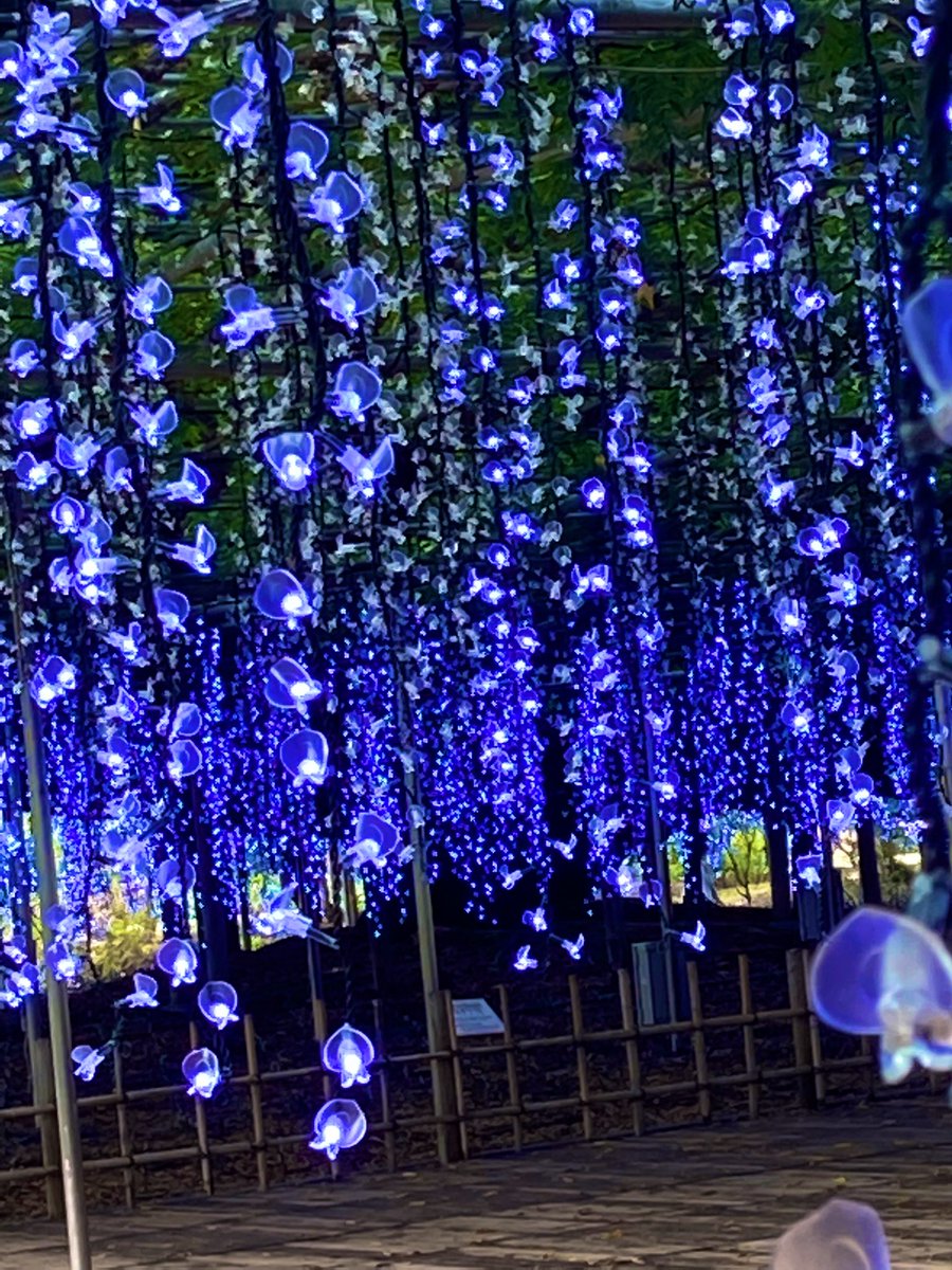Nhthankyou77's tweet photo. *･゜ﾟ･*:.｡..｡.:*･'*:.｡. .｡.:*･゜ﾟ･*
*･゜ﾟ･*:.｡素敵な週末を
　　　　　*･゜ﾟ･*:.｡..｡.
*･゜ﾟ･*:.｡..｡.:*･'*:.｡. .｡.:*･゜ﾟ･* https://t.co/Nwv4vR025C