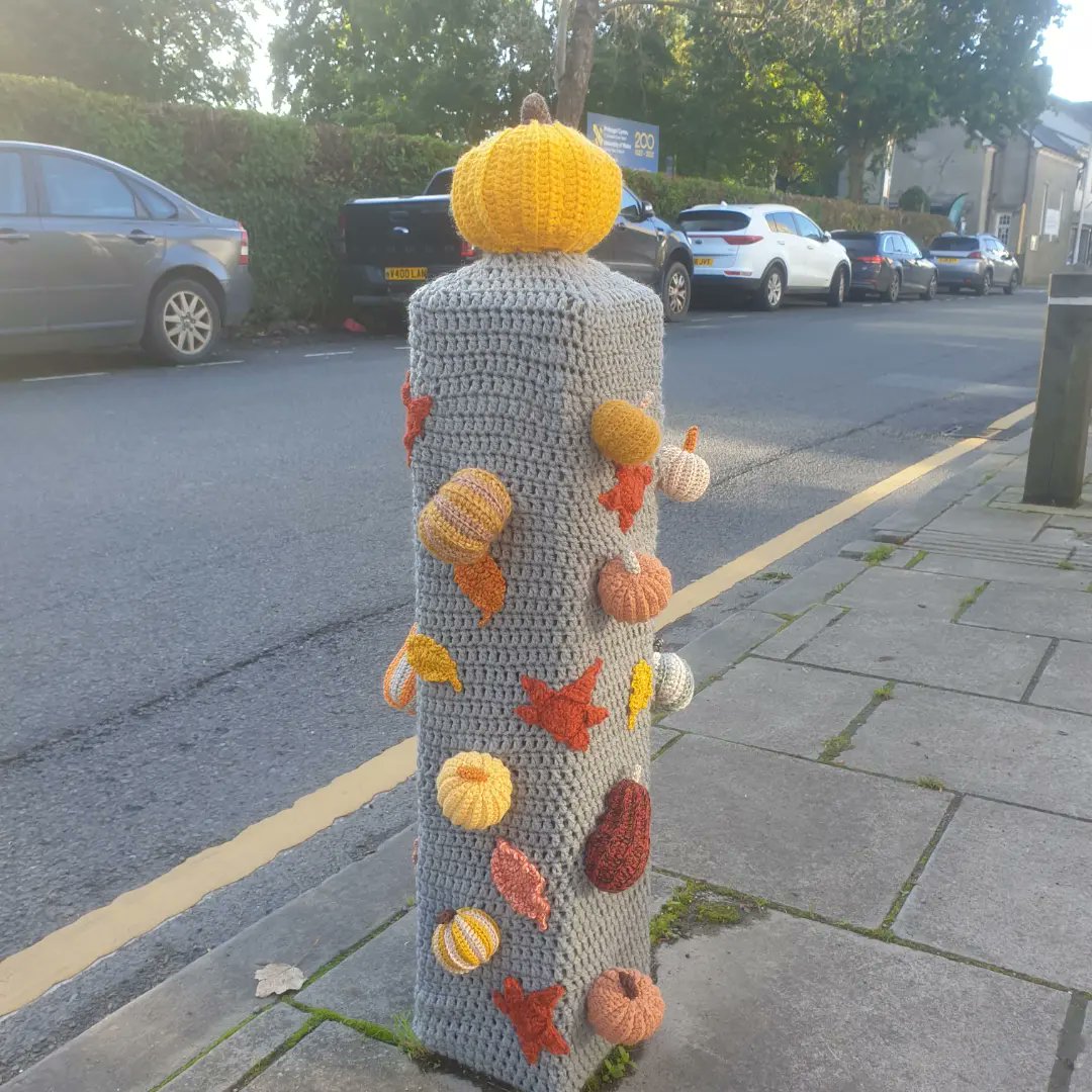 Its a beautiful sunny day here in Lampeter; there's a market today and free parking on campus, plus our lovely new yarny creations on display outside the shop and Daisy inside. It's the perfect day to visit!