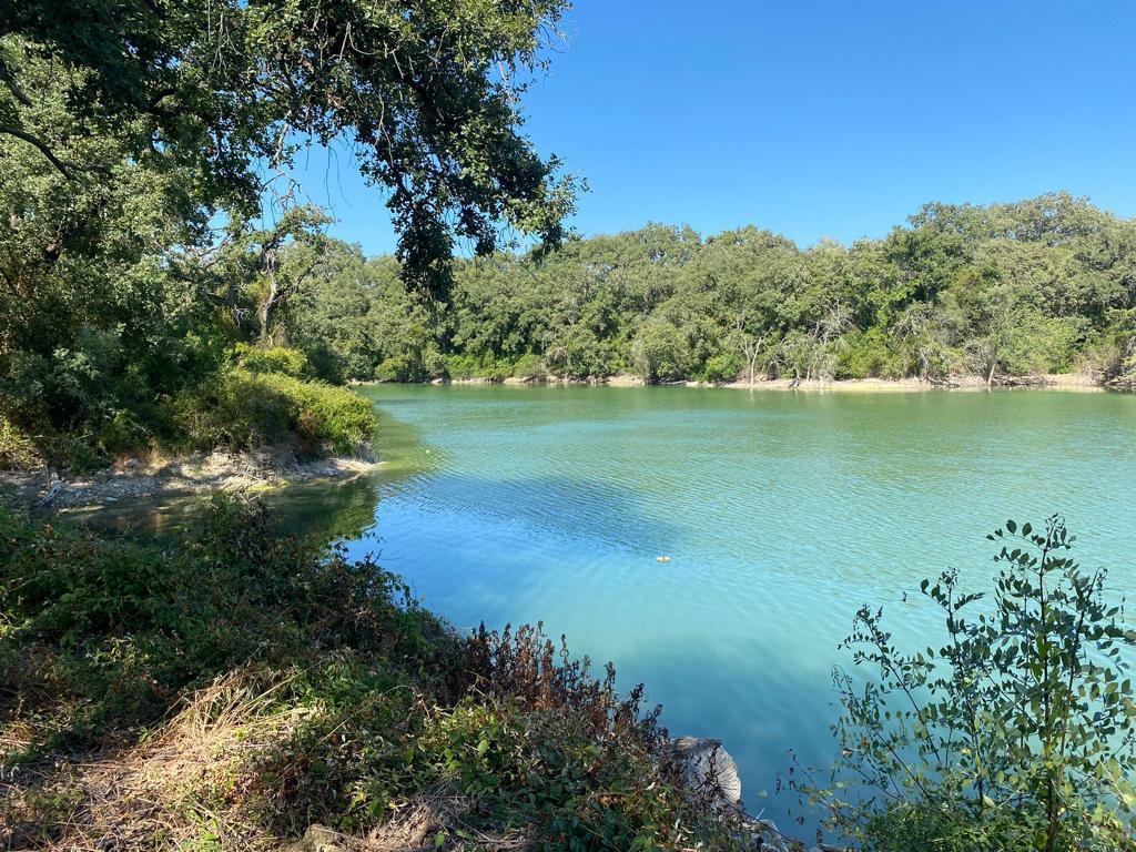 propgoluxury's tweet photo. FOR SALE - Homestead with 100 Hectares https://t.co/XtZHW3ULUQ https://t.co/z9vXePShYO