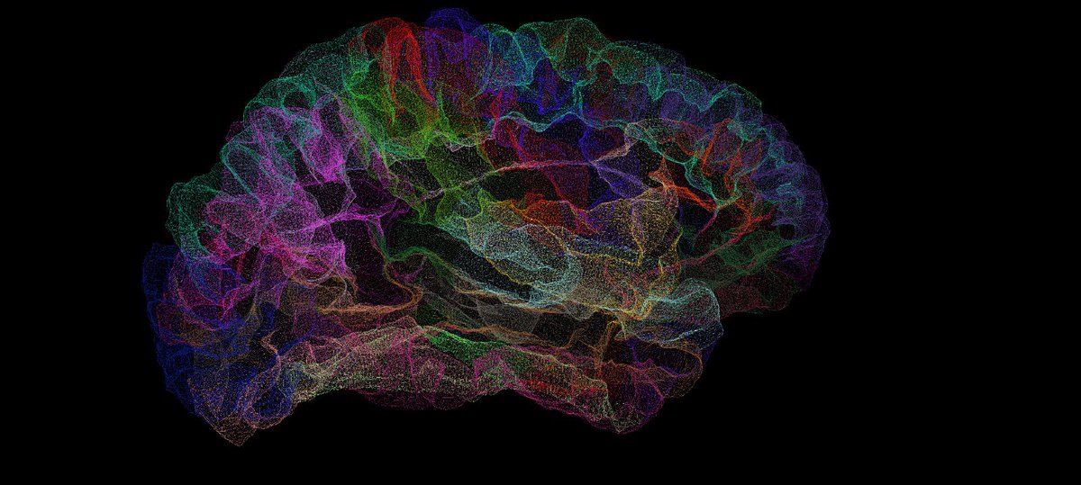 Mojgan Hodaie tweet media