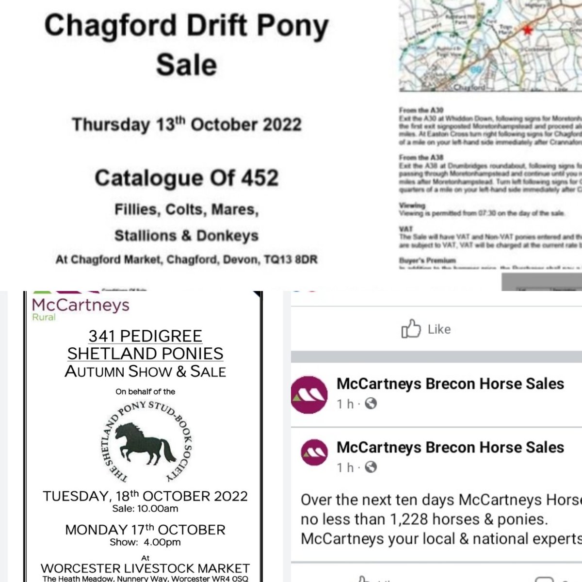 Over 2000 Horse & ponies are the move & up for Sale/Auction, across just 4 sales in the 10 days 🙈 @HorseCharity @NationalEWC @WE_HTHW2015 @RedwingsHS @HorseWelfareCo1 @BritishHorse @DavidBowles21 Does the Equine Welfare Sector have a plan to address the issue of overbreeding?