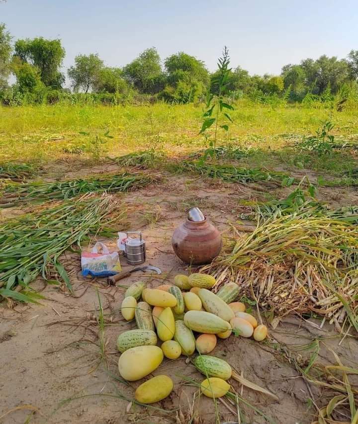 NsuiEr's tweet photo. कभी सोचा है एक किसान के बगैर जिंदिगी क्या होगी..
ध्यान रहे की शरीर अत्याचार तो बर्दास्त कर सकता है,
लेकिन पेट की भूक नहीं ..!!

– हर किसान को सम्मान दे https://t.co/qNc9SphohE