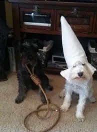 Michael Morgan tweet media