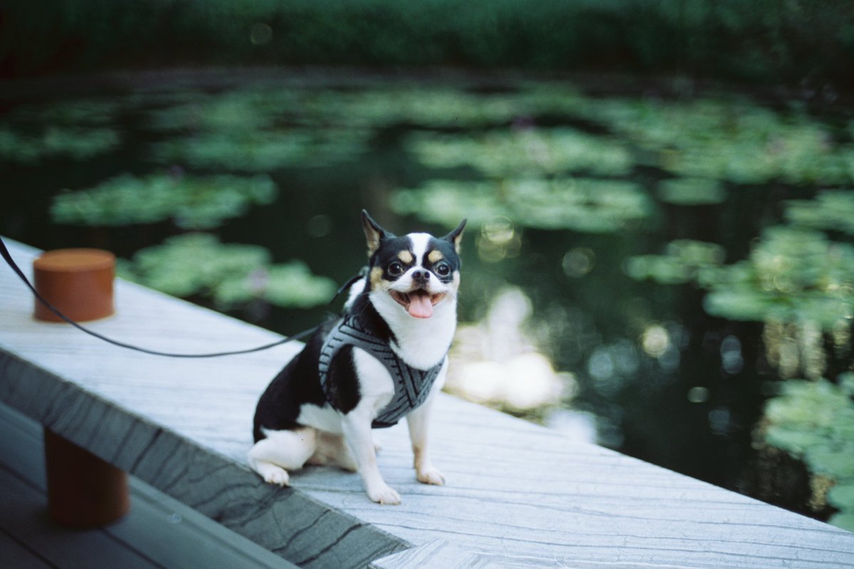 ｎａｎａ:  🅿︎ tweet media