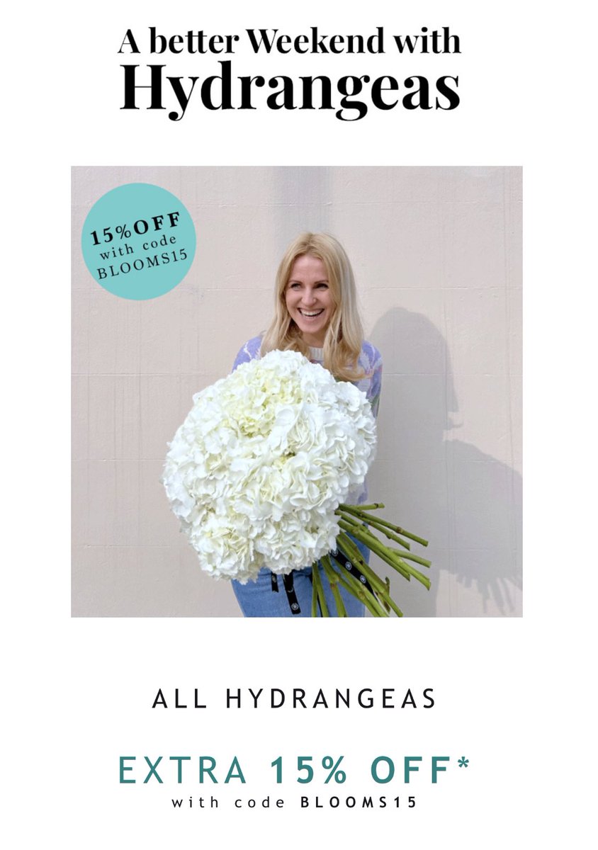 Until end of Sunday, order any hydrangea bouquet with extra 15% discount. Use code BLOOMS15 at checkout. #Hydrangea #discountcode #weekendflowers    flowerstation.co.uk/hydrangea-deli…