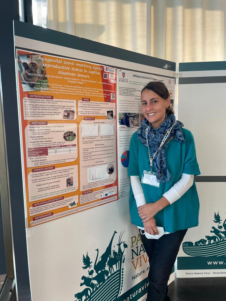 VaglioStefano's tweet photo. Super proud of @MarlianiGio, PhD researcher @Unibo &amp; visiting @ABWCUoW, where she joined our @MSCActions EnPrim project team and contributed to non-invasive sex hormone analysis to evaluate the reproductive status of gentle lemurs! @JerseyZoo #convegnoricerca @ParcoNaturaViva https://t.co/6vv3uDbbEj