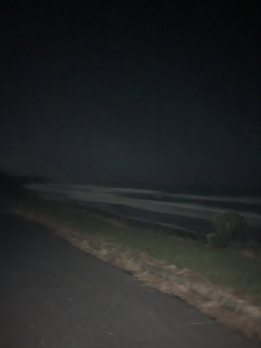 🇳🇿 Alison Sammes▪️ tweet media