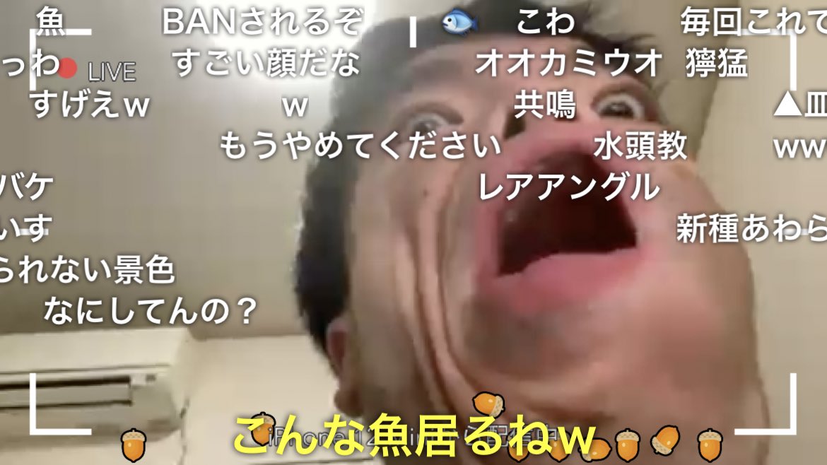 あああ Yuibachi257ma Twitter