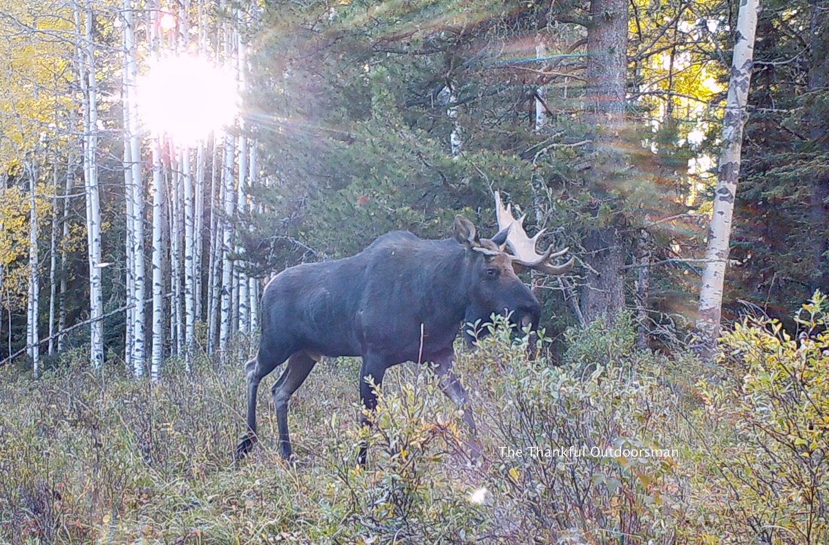 Looking for love &amp; he’s a fighter