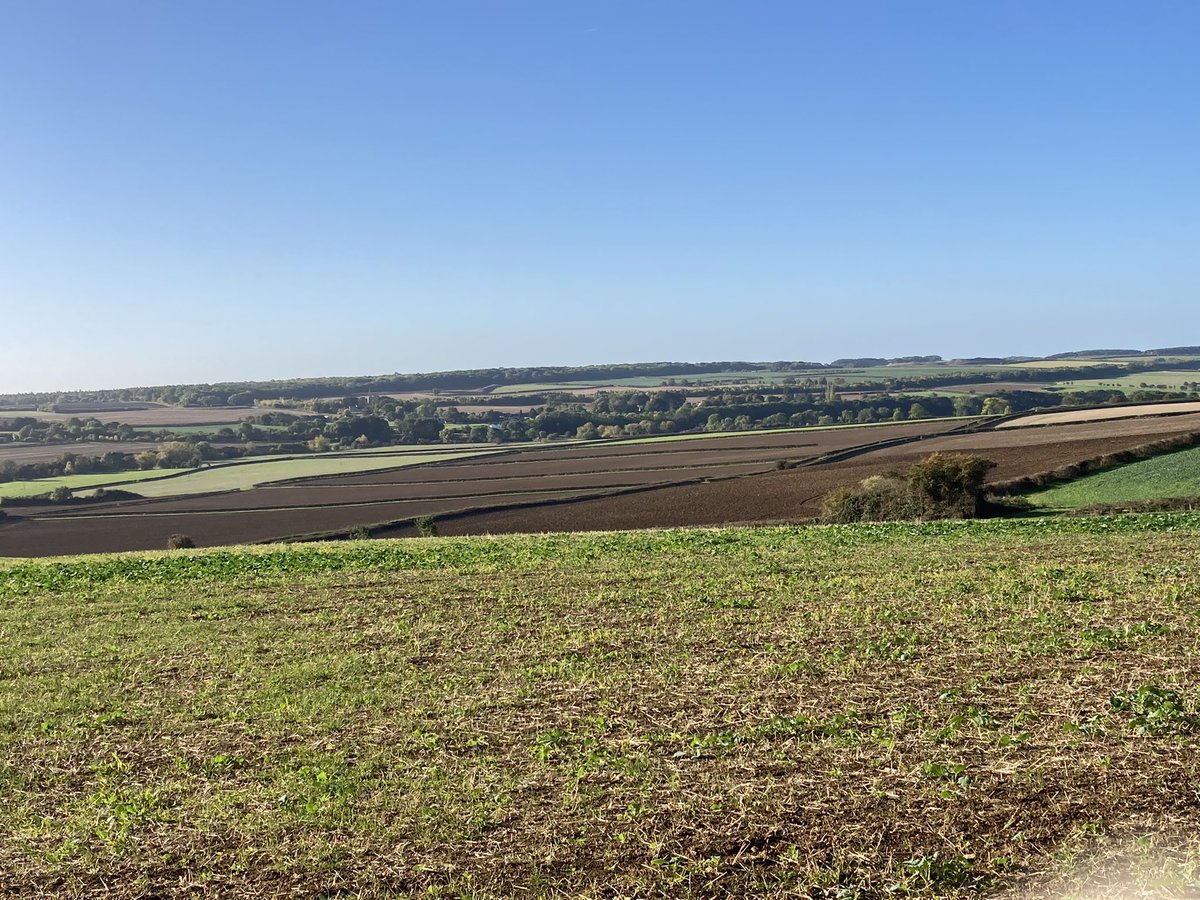 Not a cloud in the sky for a Saturday morning <a href="/FarmRunnerUK/">Farm Runner</a> #rutland