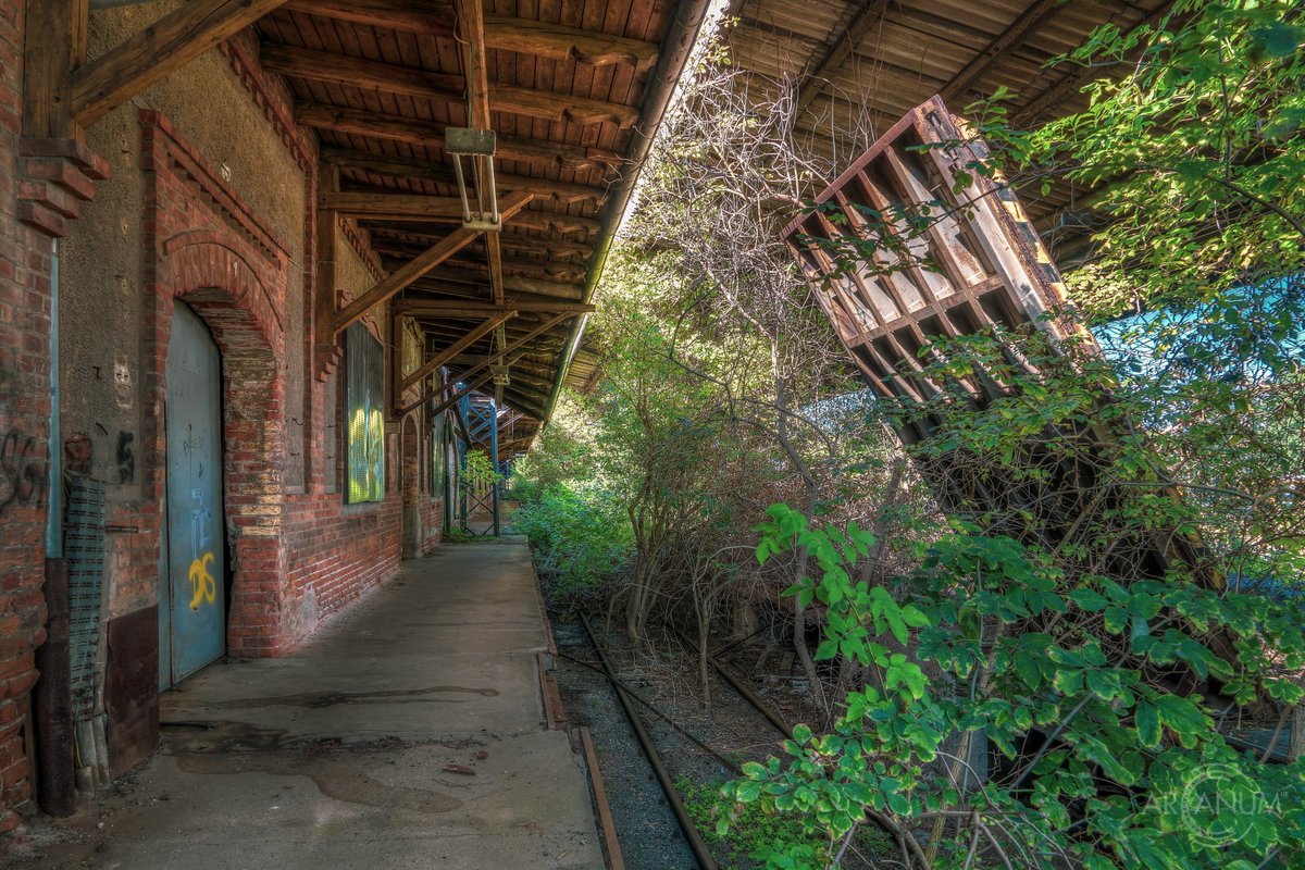 NEW GALLERY UP!!

FREIGHT DEPOT S.
--> arcanumurbex.de/photos/civilia… <--

#urbex #railway #travbelblogger #travelphotography #history #germany #ruins #decay #abandonedplaces #abandoned #forgotten #explore #exploregermany #exploration