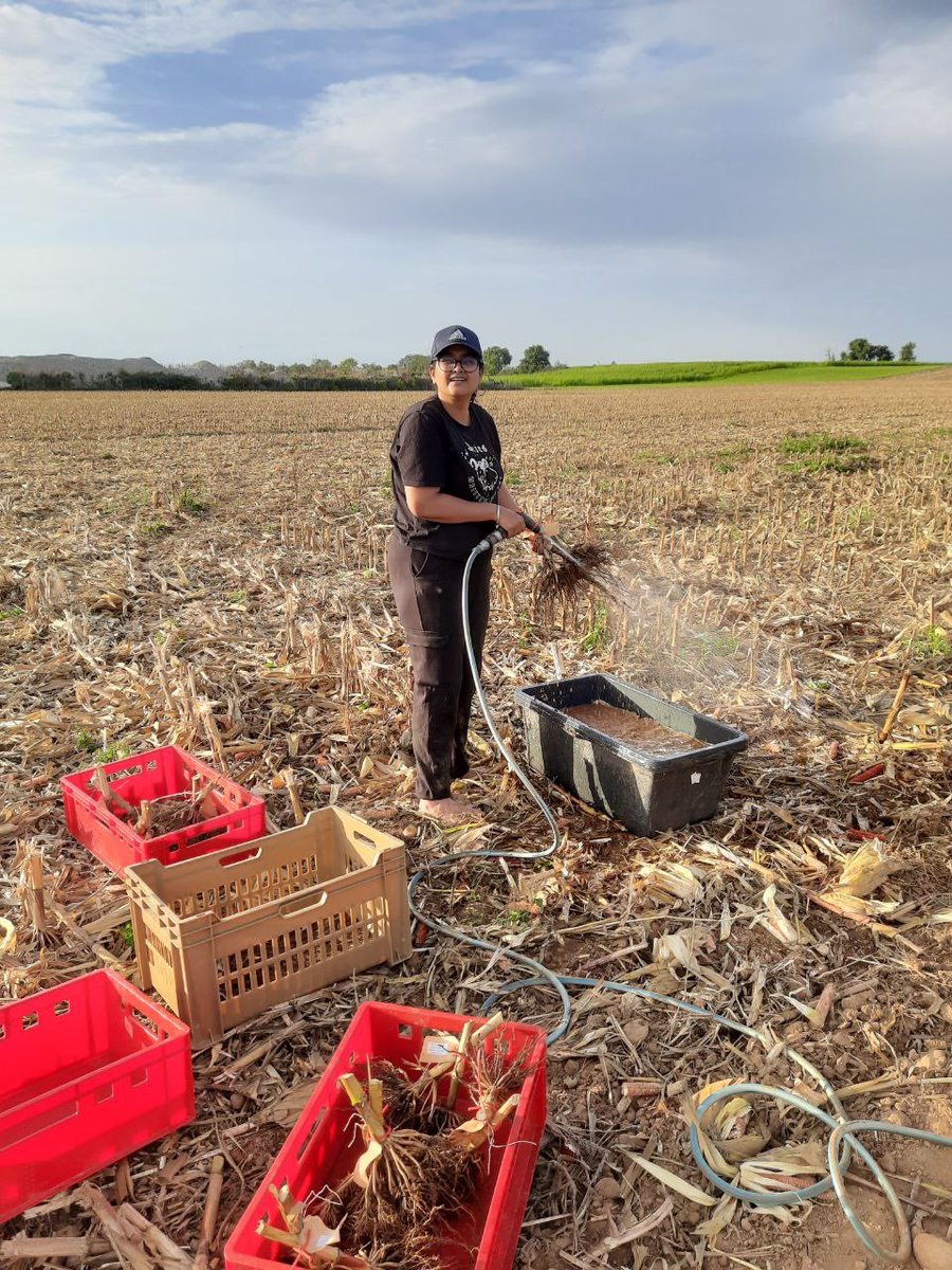 Working in Pusignan near Lyon. Yesterday the weather was good, but today rain slows us quite a bit. Singing shanties (terribly) to keep us in a good mood! @EJPSOIL