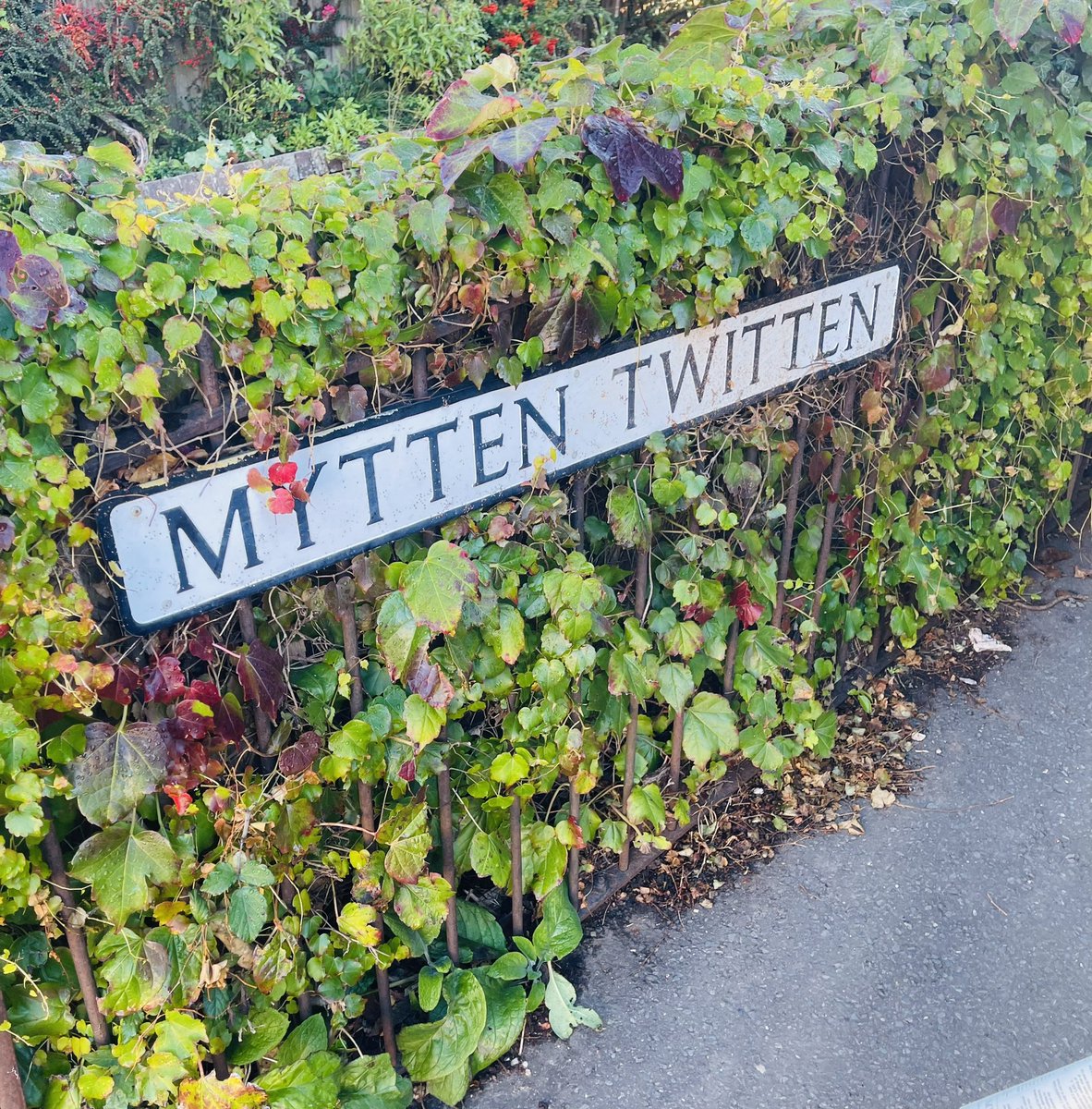 Richard Osman tweet media