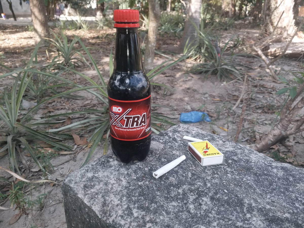 realafterxtz's tweet photo. Weekend vibes 🔥 #Mmemberville 🍁 #ArtPc 📸 https://t.co/DKz9YnClI8