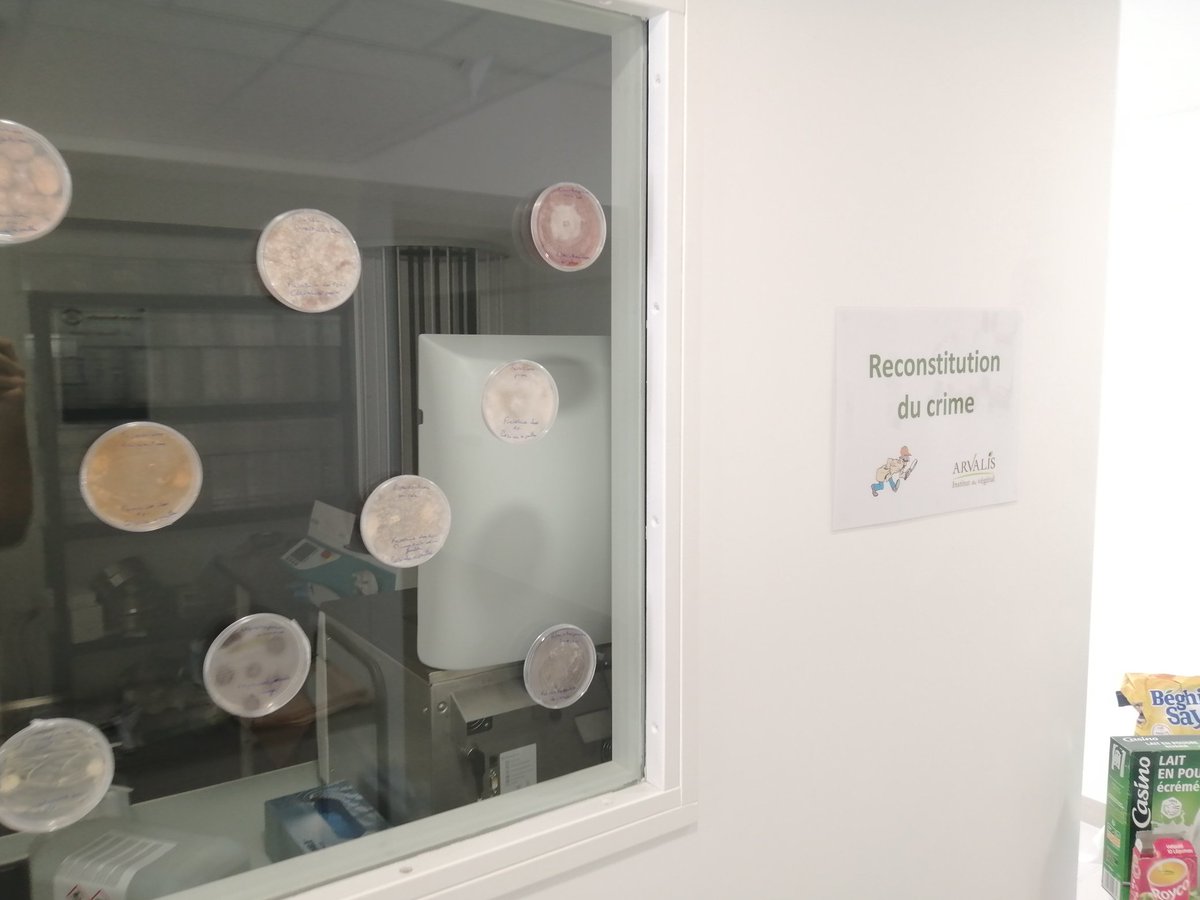Fin de l installation pour la #fêtedelascience. Nous vous attendons avec plaisir pour vous faire découvrir le passionnant métier de #phytopathologiste et plein d' autres metiers à Boigneville ☺️ <a href="/Arvalisofficiel/">ARVALIS</a>