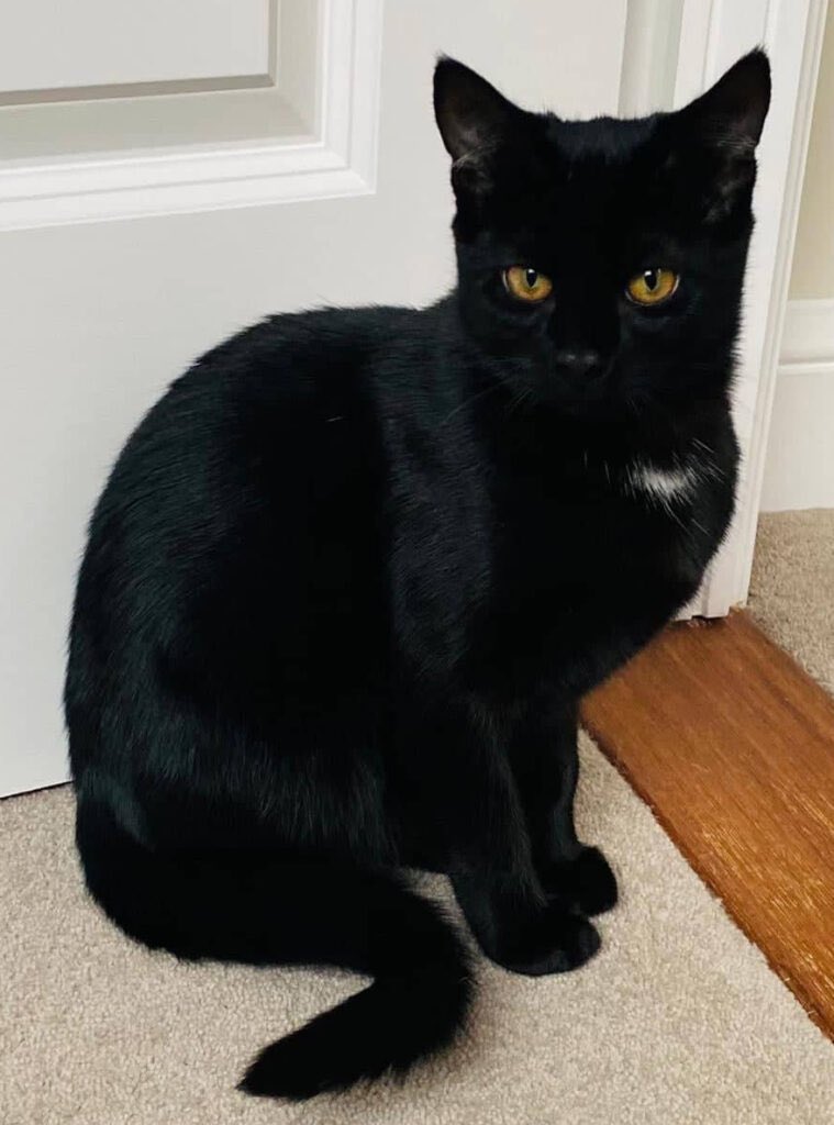 Marjorie Nash tweet media