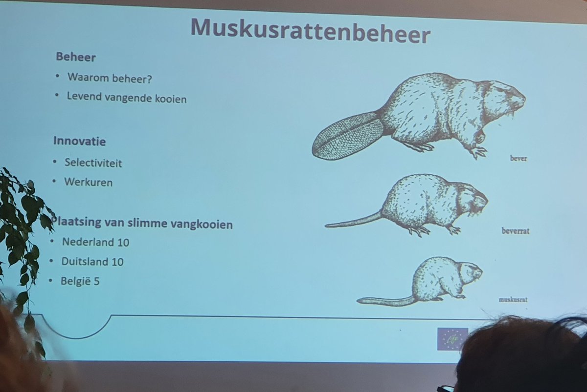 Cindy de Jonge-Stegink tweet media