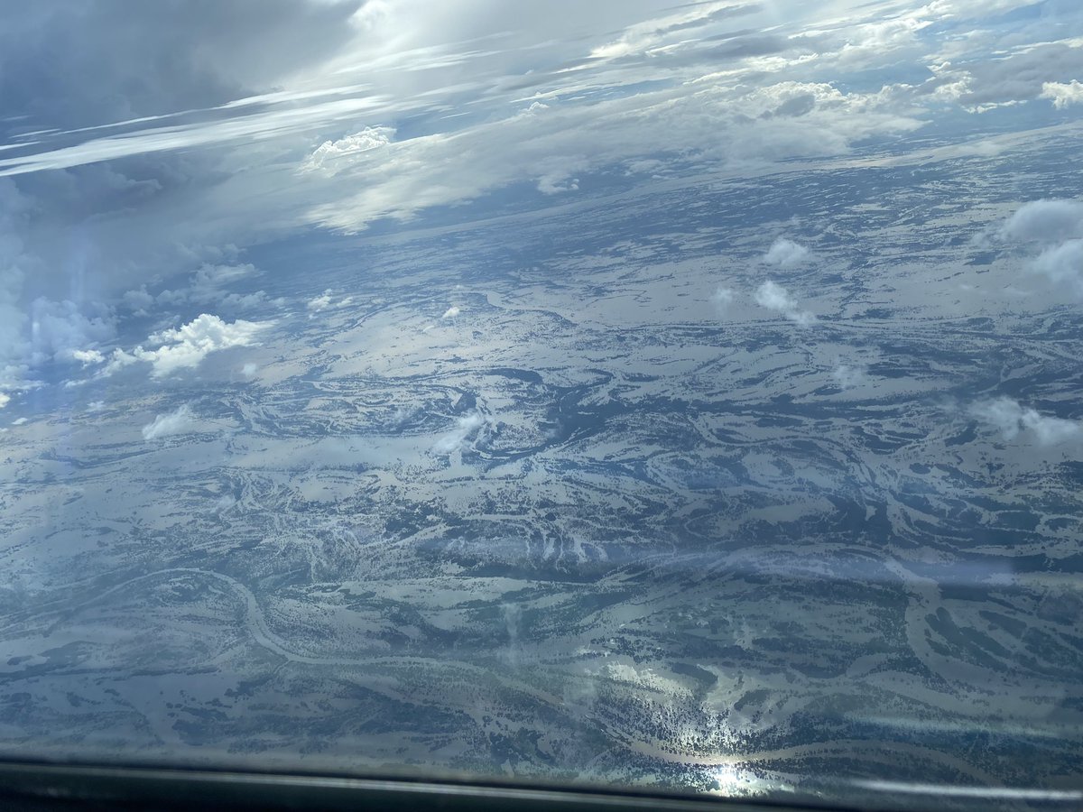 Falnyi J. tweet media