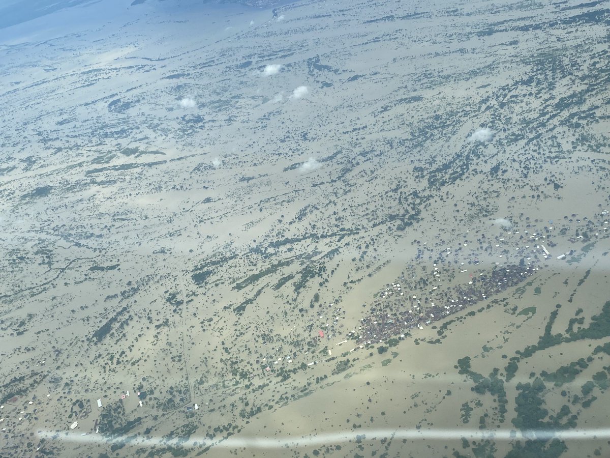 Falnyi J. tweet media