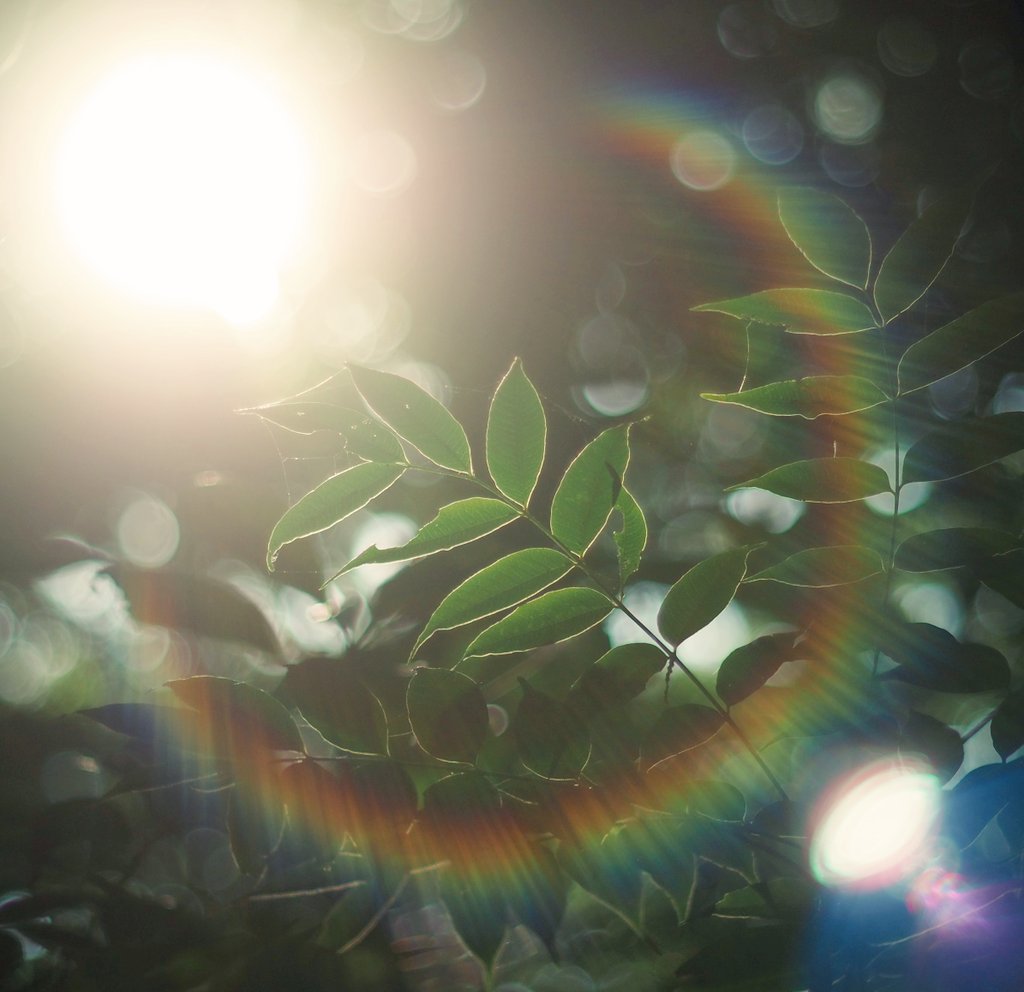 天気がよかった日のお写真