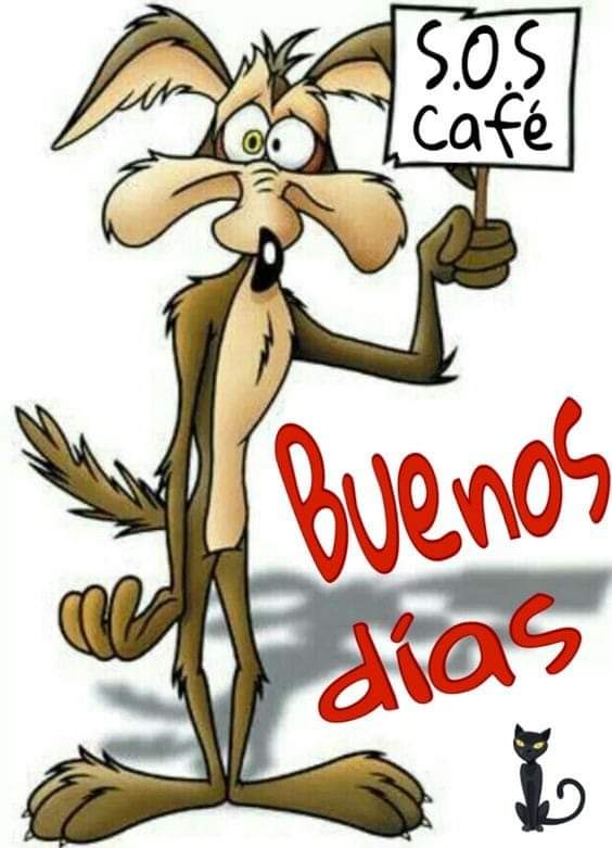 I.P.A. Córdoba (@wallieswolfgang) on Twitter photo 