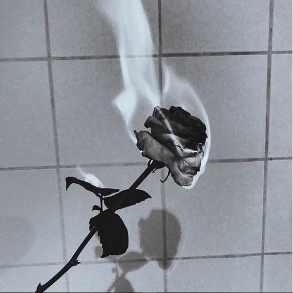 sweetieschannie's tweet photo. ; Miserable 

— nohyuck au https://t.co/k24dF2Kck6
