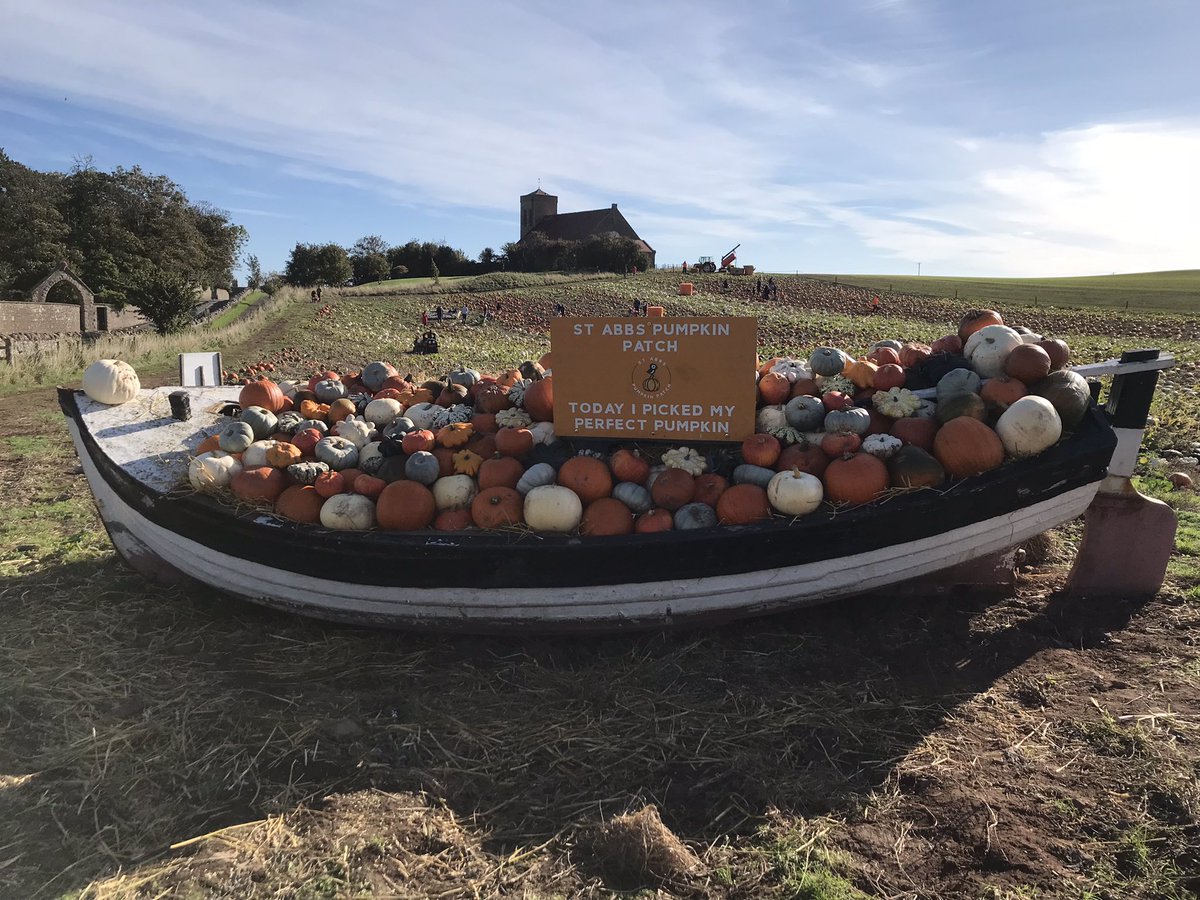 annabelhami11's tweet image. It’s opening day here on the patch! Stunning day 🤩!