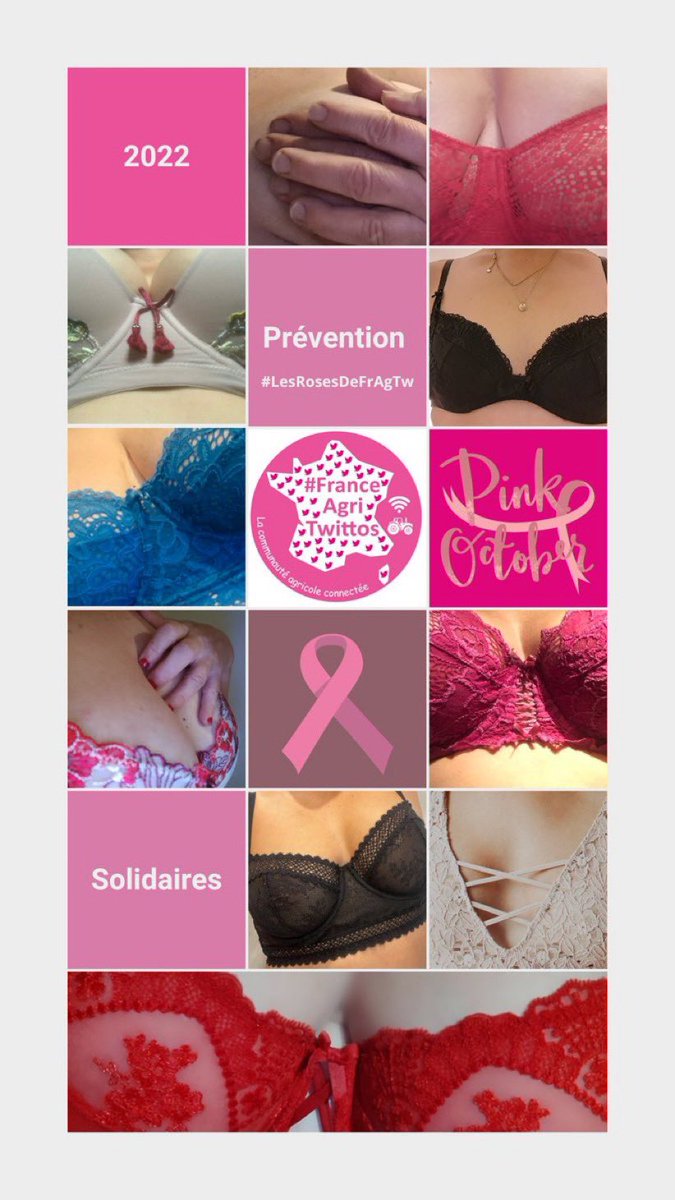 On a toutes une histoire avec le #cancerdusein. Une femme sur 8 y est confrontée. Plus il est détecté tôt, plus les chances de guérison augmentent.  Toutes solidaires #Mammographie #OctobreRose  #LesRosesDeFrAgTw
Toutes les infos: cancerdusein.org