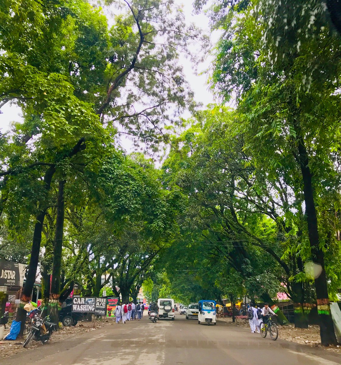 she_chauhan's tweet photo. Just few days/weeks left to cherish this beauty at Sahastradhara road..
Without #trees this road is going to haunt all of us..whether we admit or not..
Feeling sad ☹️ 
#Dehradun
@Dehradun_Live 
@SaveDehra https://t.co/m6bHIKok0e