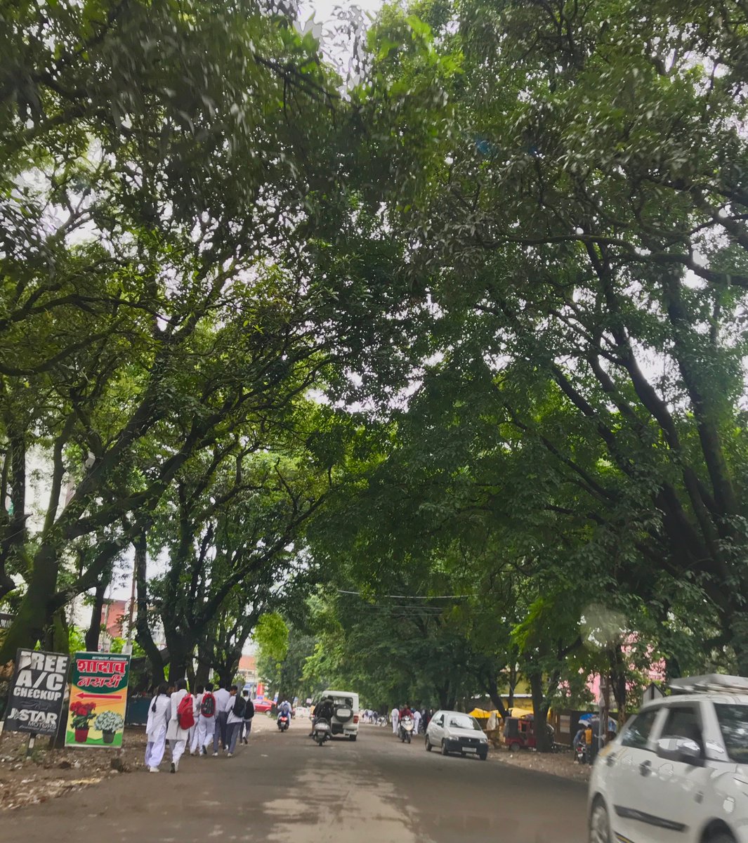 she_chauhan's tweet photo. Just few days/weeks left to cherish this beauty at Sahastradhara road..
Without #trees this road is going to haunt all of us..whether we admit or not..
Feeling sad ☹️ 
#Dehradun
@Dehradun_Live 
@SaveDehra https://t.co/m6bHIKok0e