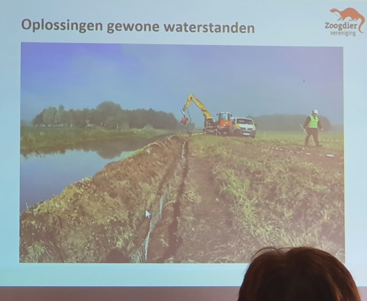 Cindy de Jonge-Stegink tweet media