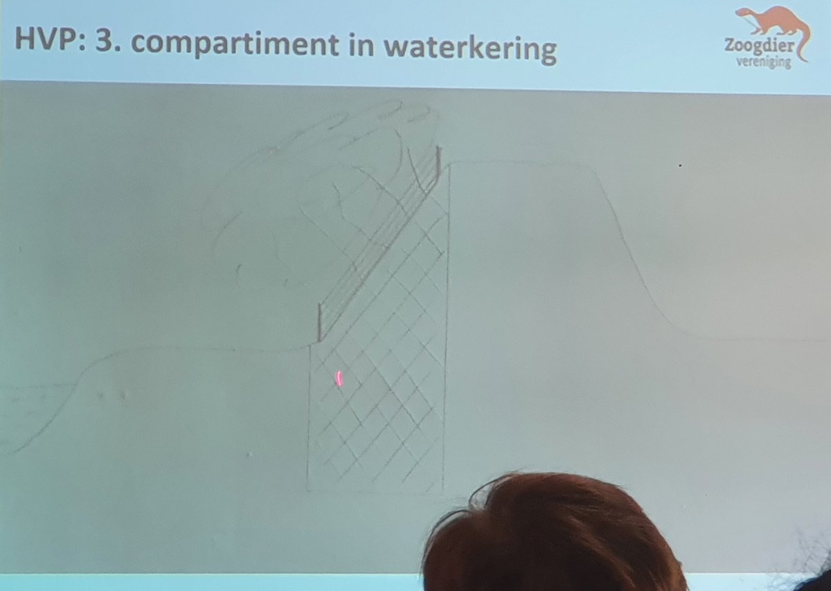 Cindy de Jonge-Stegink tweet media