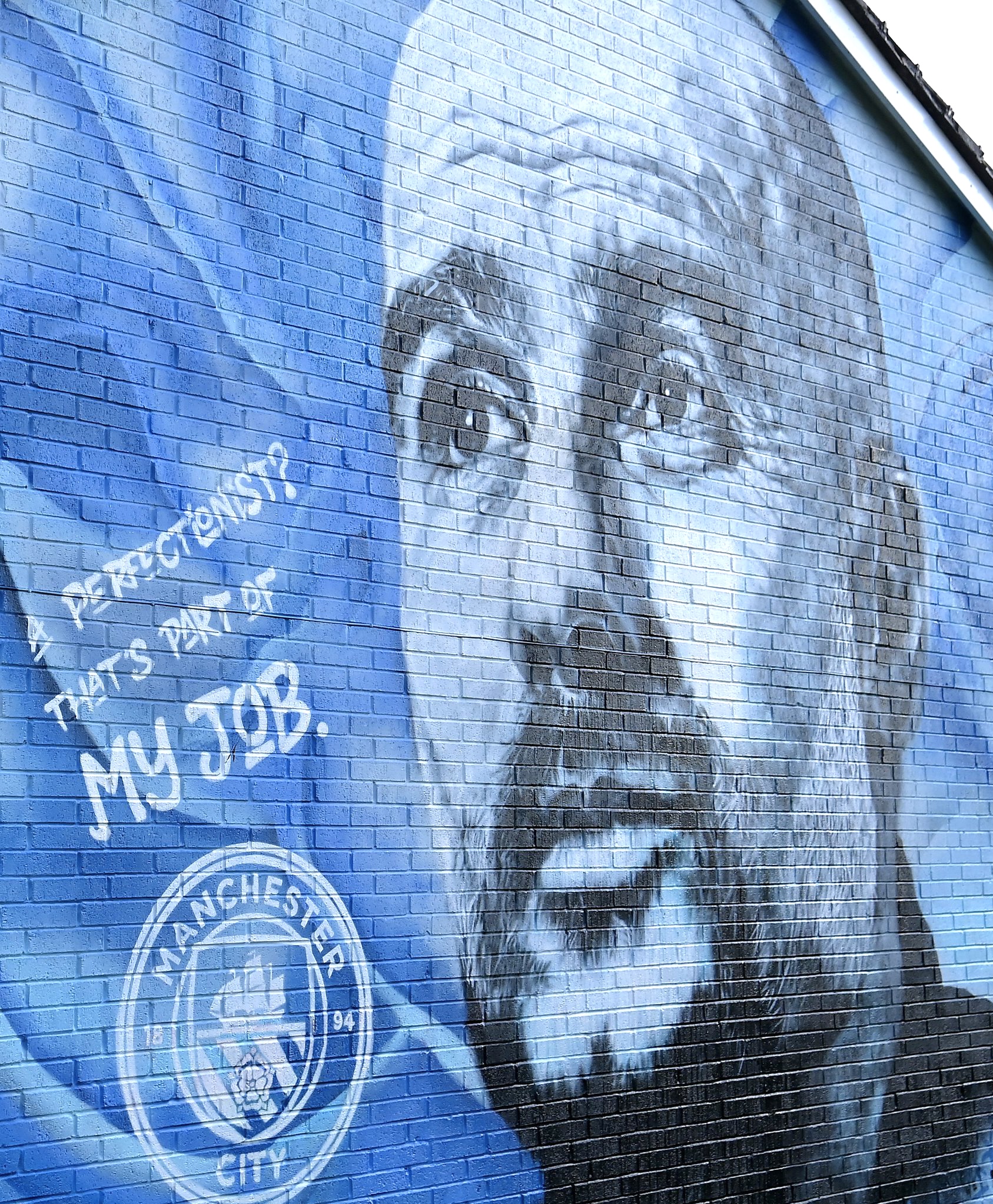 433 on Twitter: "🧠🔵 https://t.co/jSDsgrfK9Y" / Twitter